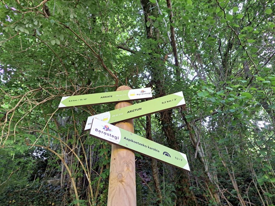 Explosión primaveral en la cima de Erroizpe