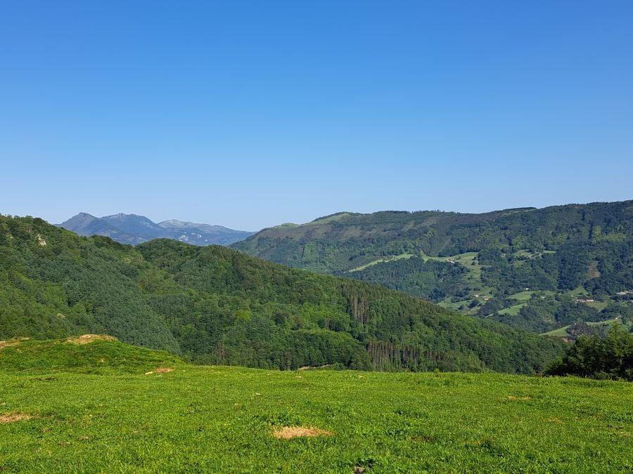 Explosión primaveral en la cima de Erroizpe