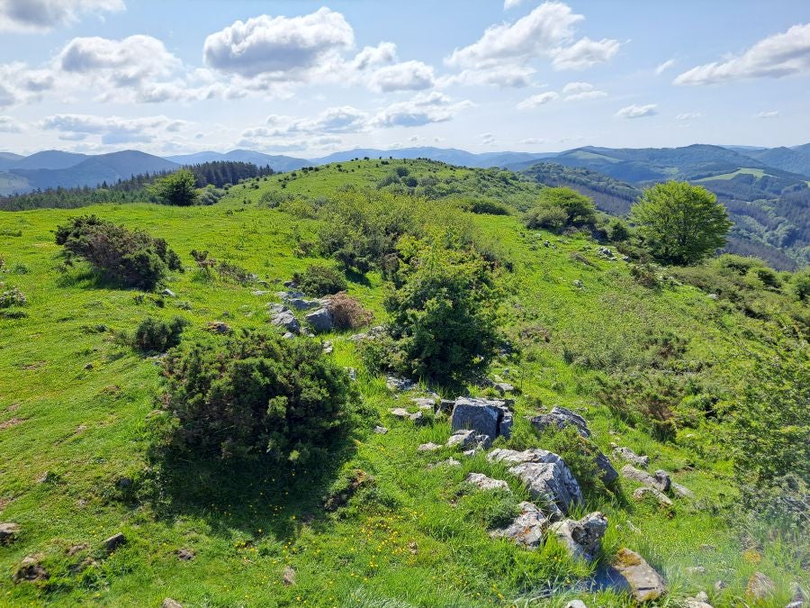 Explosión primaveral en la cima de Erroizpe