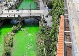 El Urola, completamente verde fluorescente a su paso por Azkoitia este mediodía.