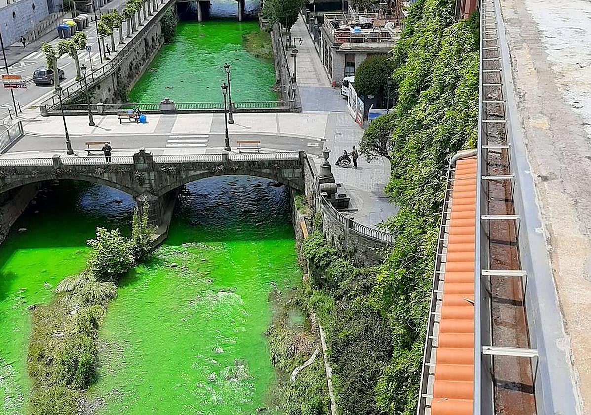 El Urola, completamente verde fluorescente a su paso por Azkoitia este mediodía.
