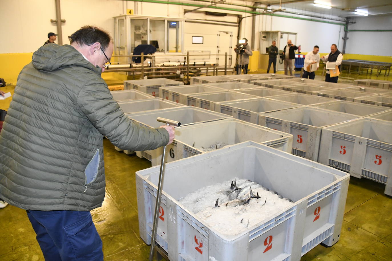 370 euros el kilo por el primer bonito