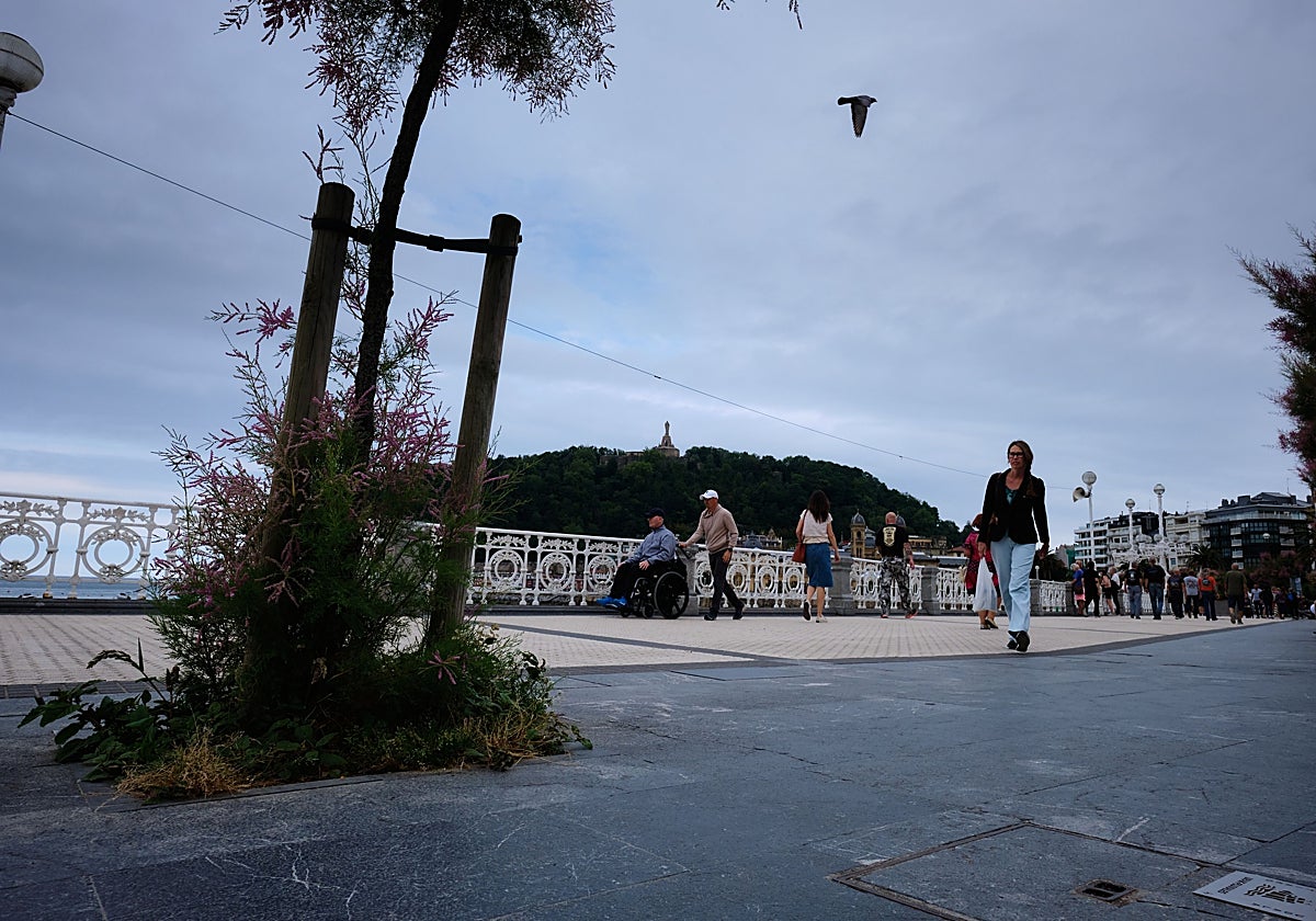 La población crece en Gipuzkoa gracias al aumento de personas extranjeras.