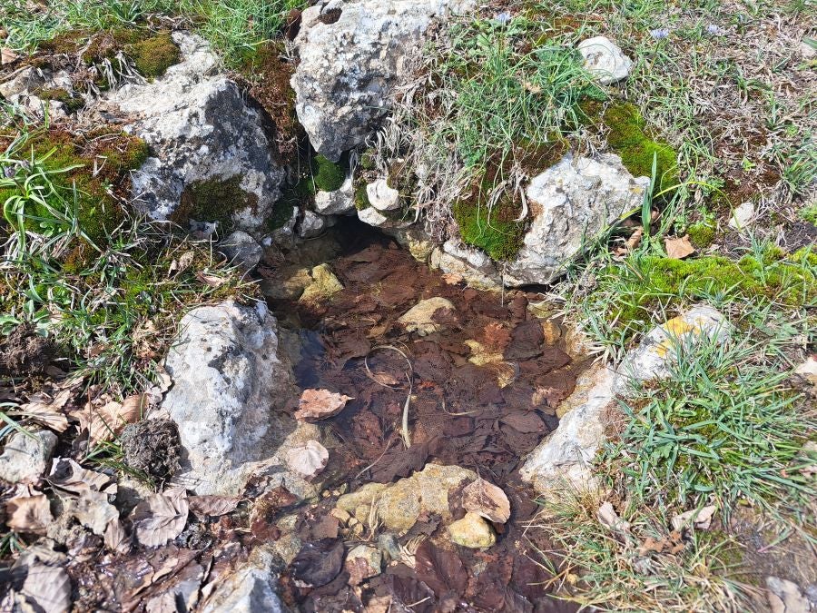 Mirutegi, un inmenso jardín con vistas