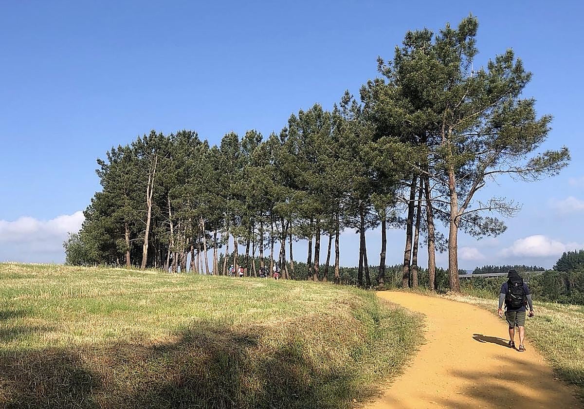 Uno de los maravillosos paisajes en la etapa de Portomarín a Palas de Reí.
