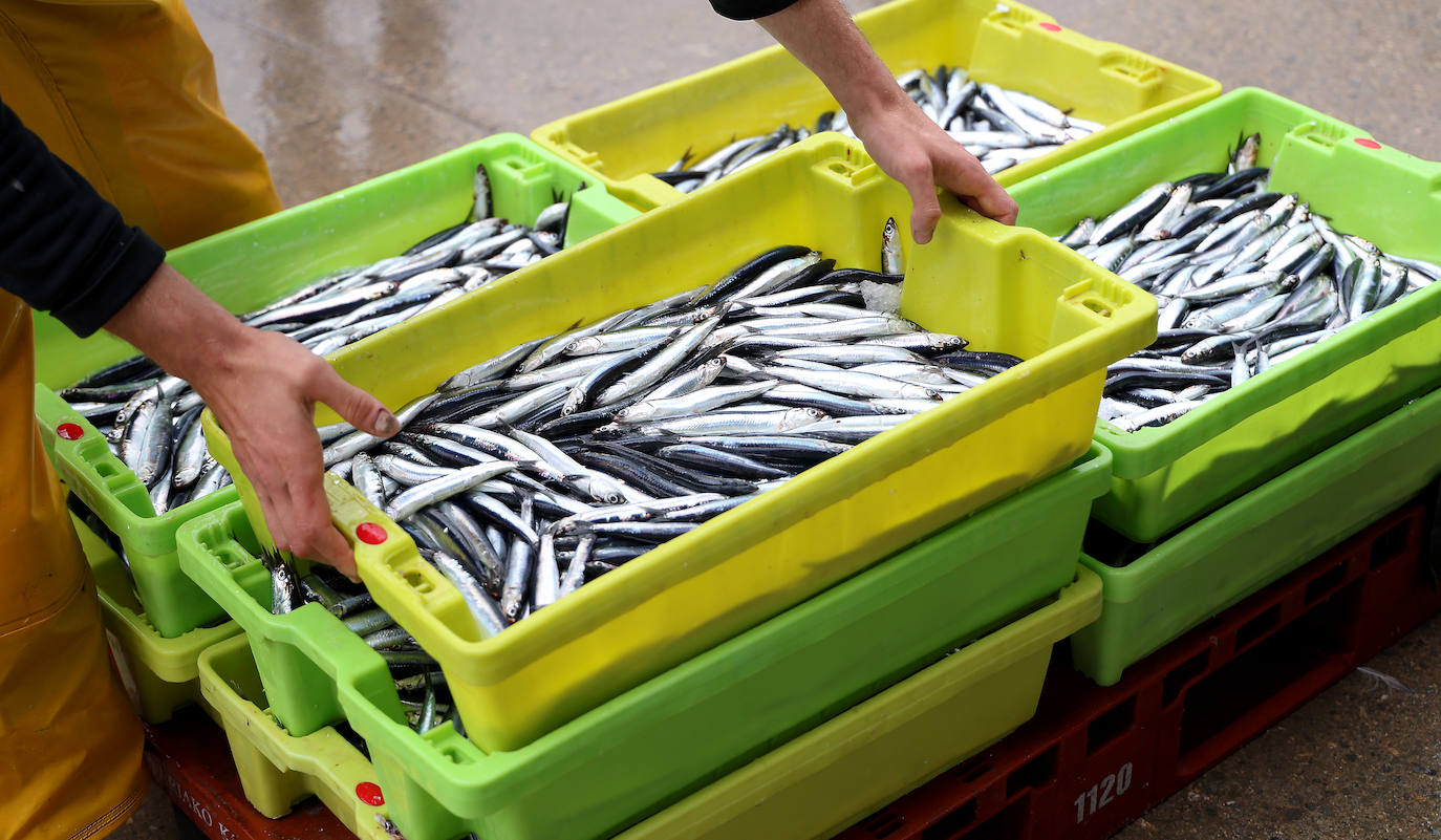 Una jornada en el &#039;Ave María&#039;