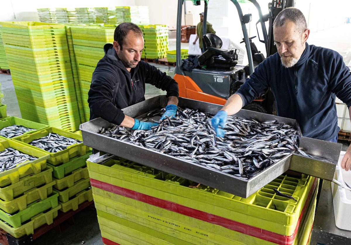 «Sería una pena que hubiera pescado pero no pescadores»