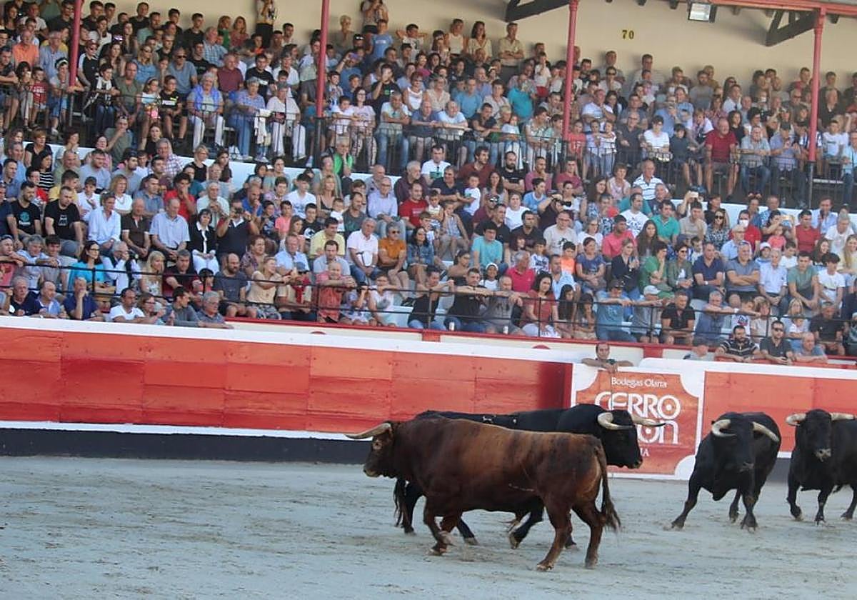 Carteles de postín para la feria de los 'sanignacios' de Azpeitia