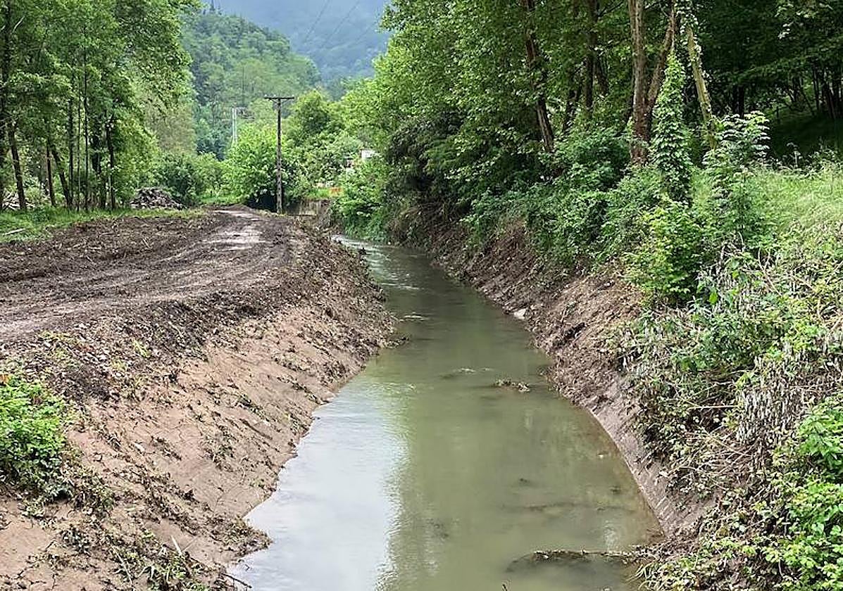 Las obras en el canal bajo del Añarbe han arrancado con los trabajos de desbroce.