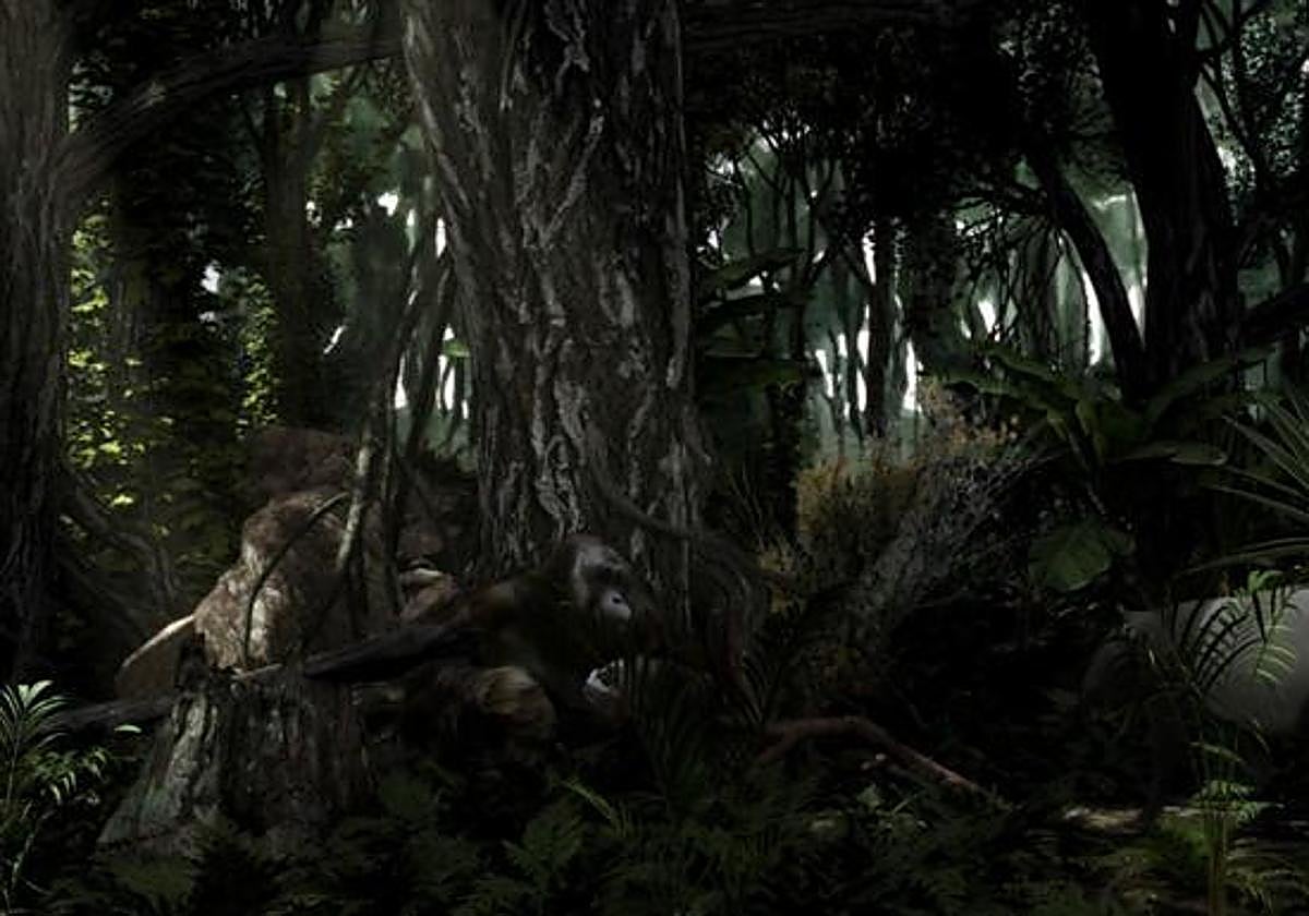 az lehiatu zen 'Les hommes de la nuit' (Judith Auffray) laneko fotograma.