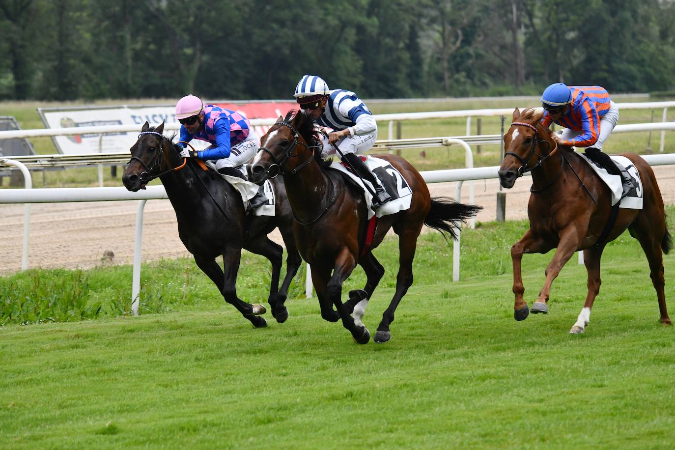 El hipódromo alza el telón