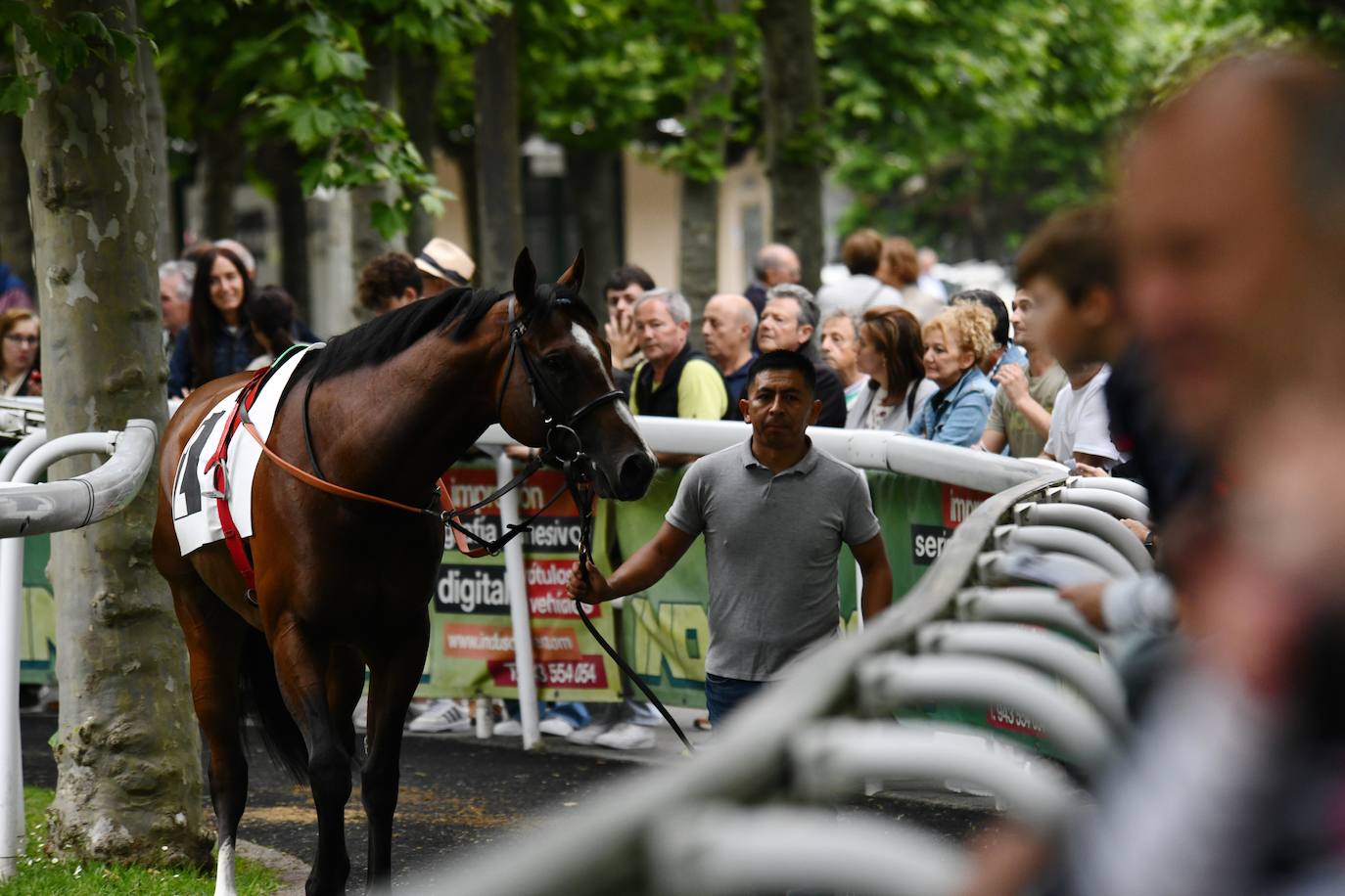 El hipódromo alza el telón