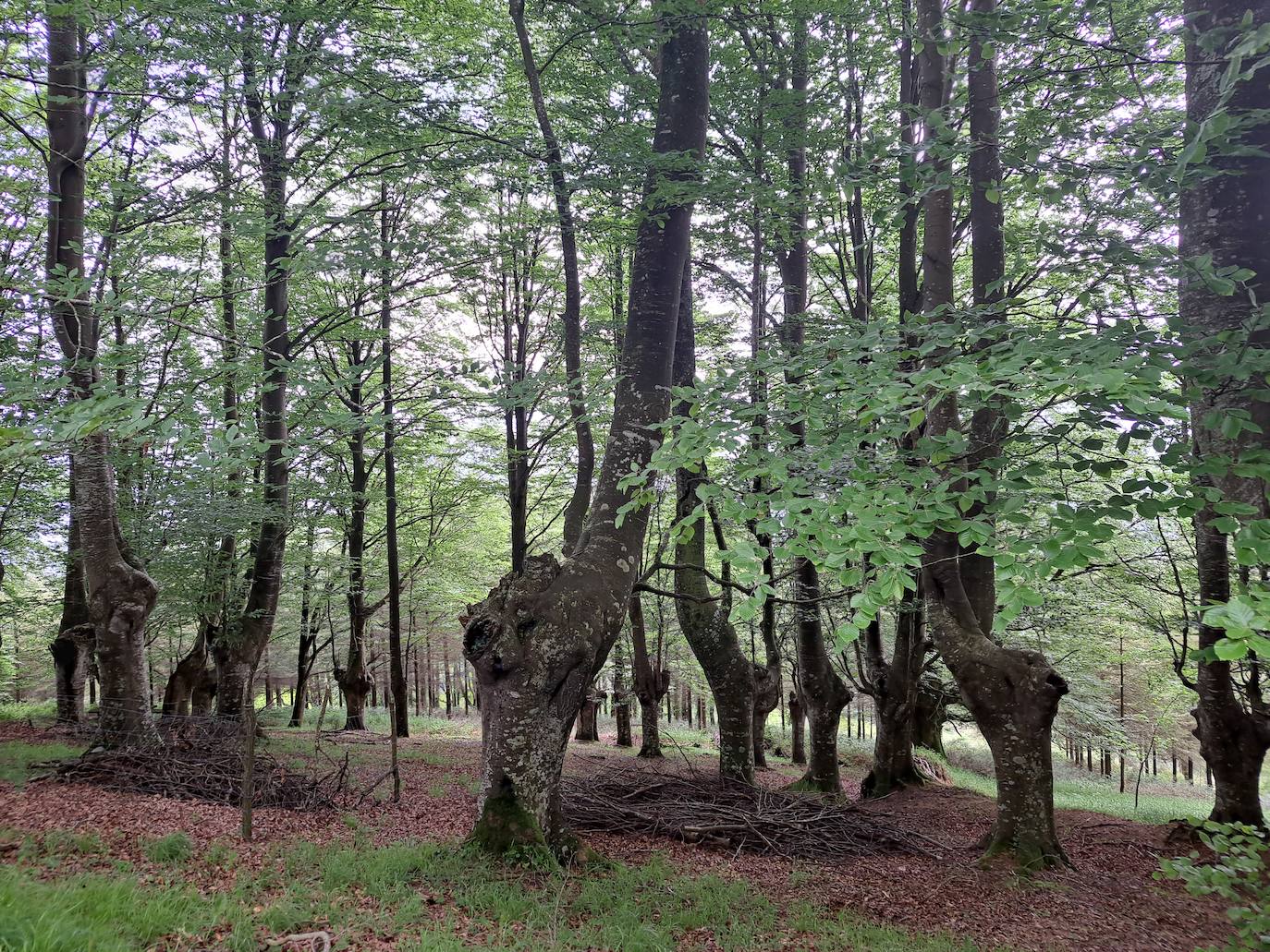 Izazpi, unas vistas que enamoran