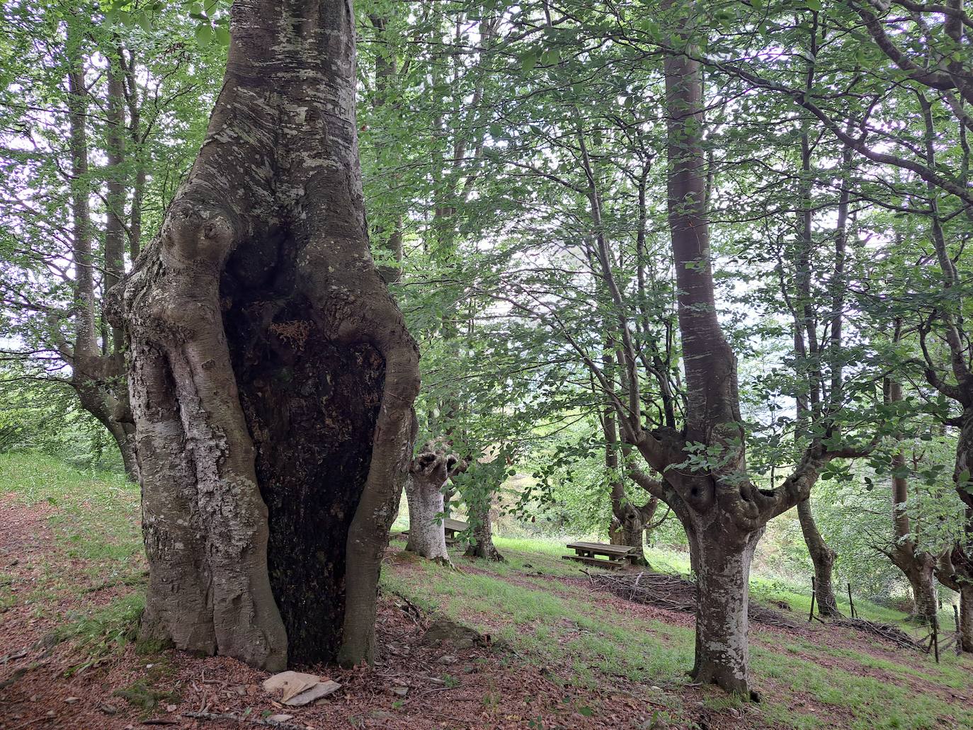 Izazpi, unas vistas que enamoran