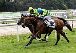 'Jasperoid' supera este miércoles a su compañero de cuadra 'Triton'.