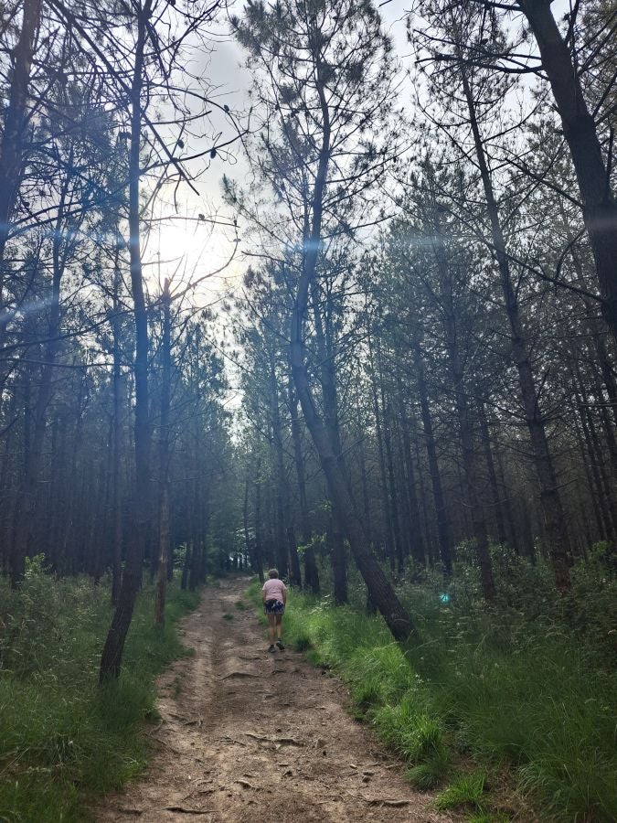 Belkoain, una cima con historia