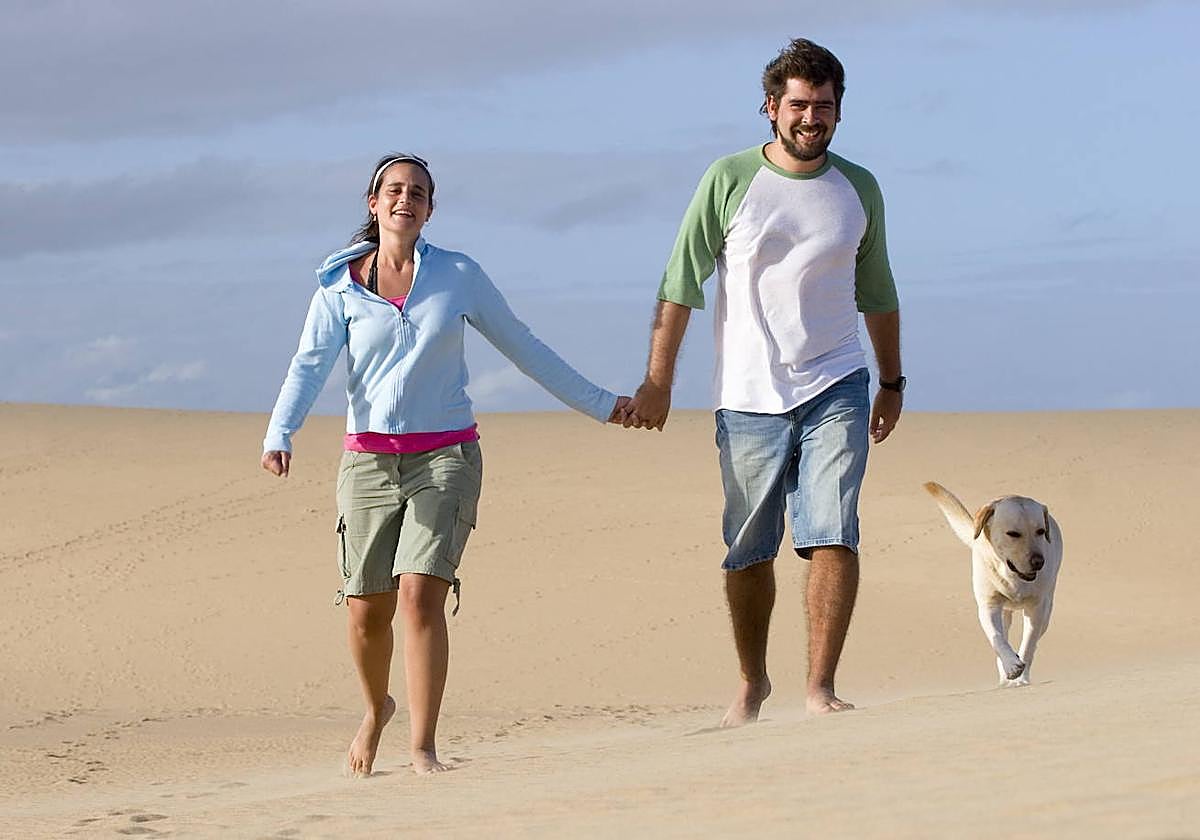 Una pareja camina por la playa junto a la compañía de su perro.