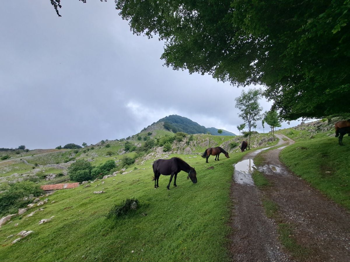 Xoxote, en el corazón de Izarraitz