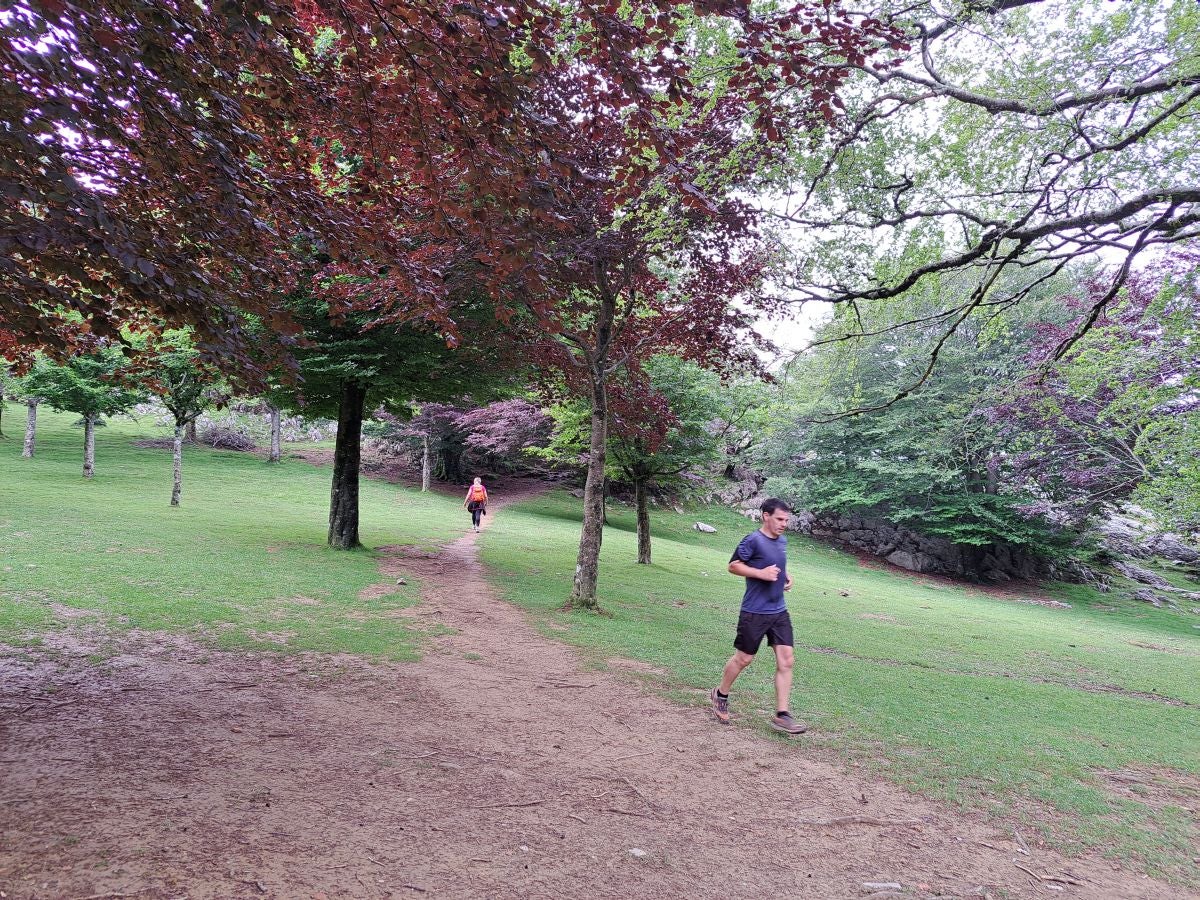 Xoxote, en el corazón de Izarraitz