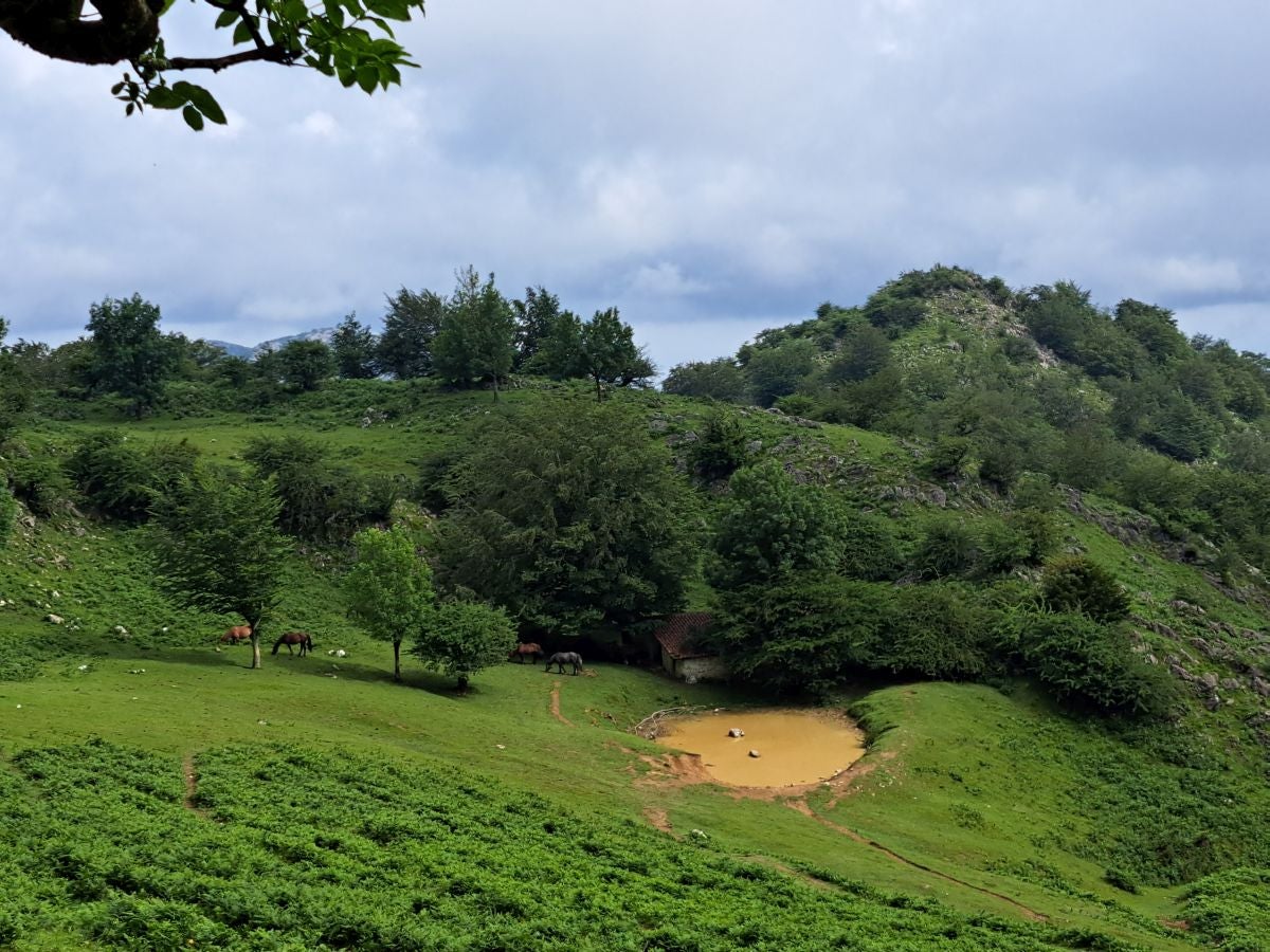 Xoxote, en el corazón de Izarraitz