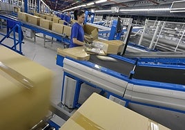 Logistika lantegi bateko langile bat.