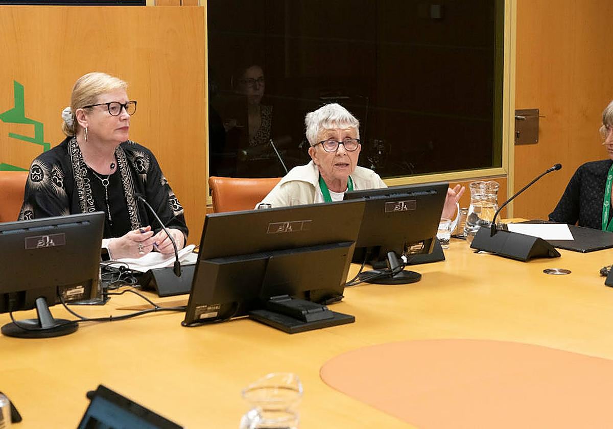 Rosa García, de Stop Desahucios, durante la comisión presentada este lunes en el Parlamento Vasco.