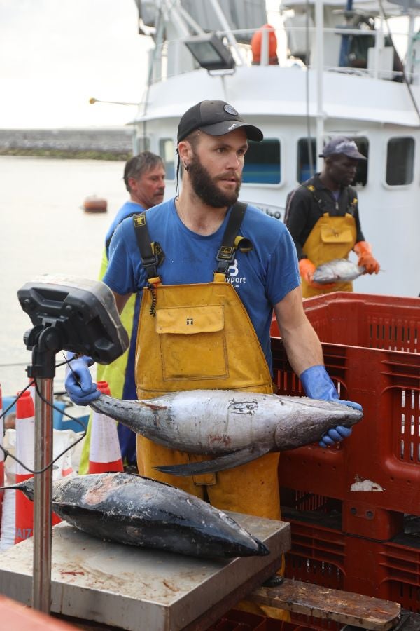 Arranca la campaña del bonito
