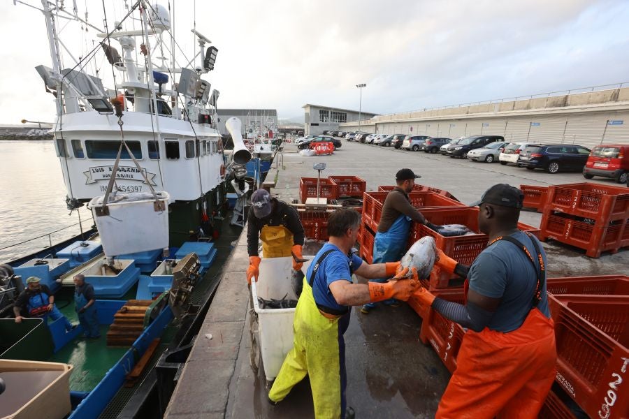 Arranca la campaña del bonito