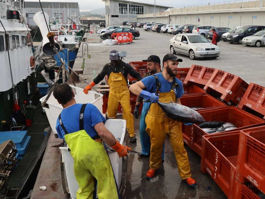 Arranca la campaña del bonito