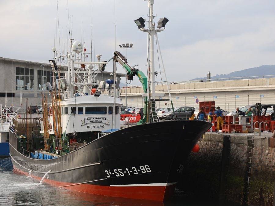 Arranca la campaña del bonito