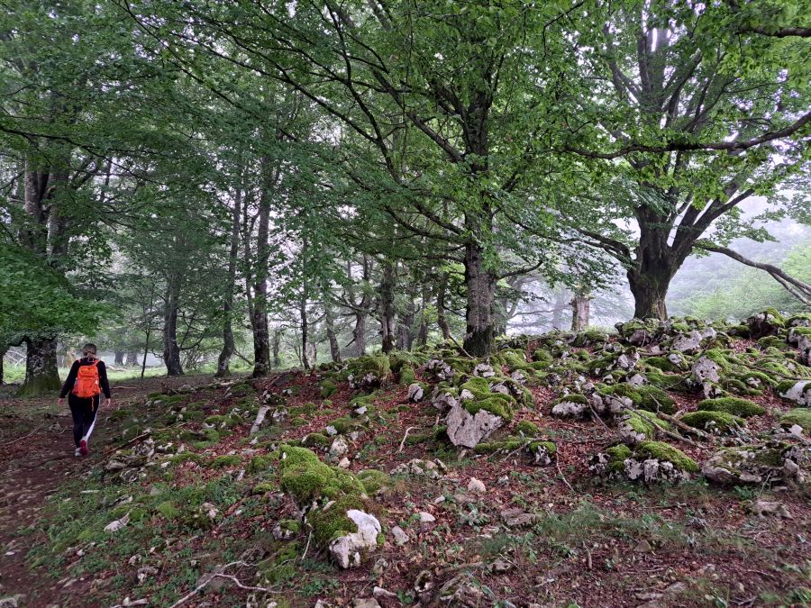 El suave manto de Belleku