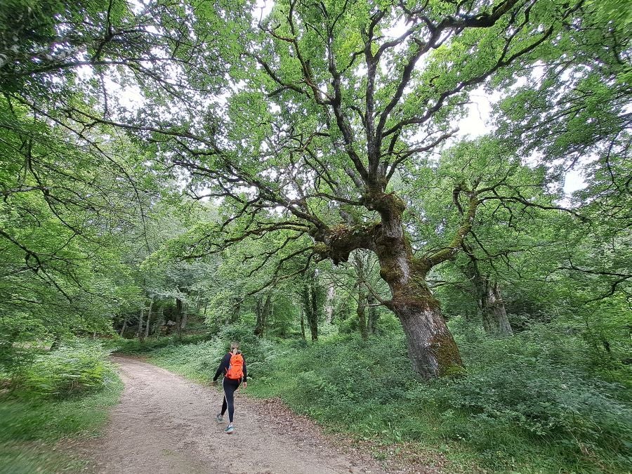 El suave manto de Belleku