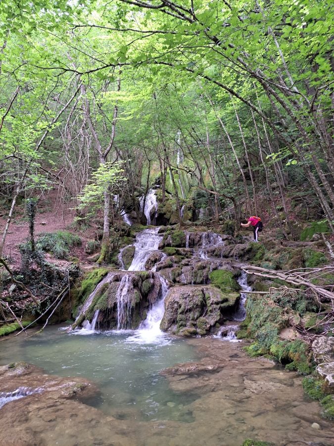 El suave manto de Belleku