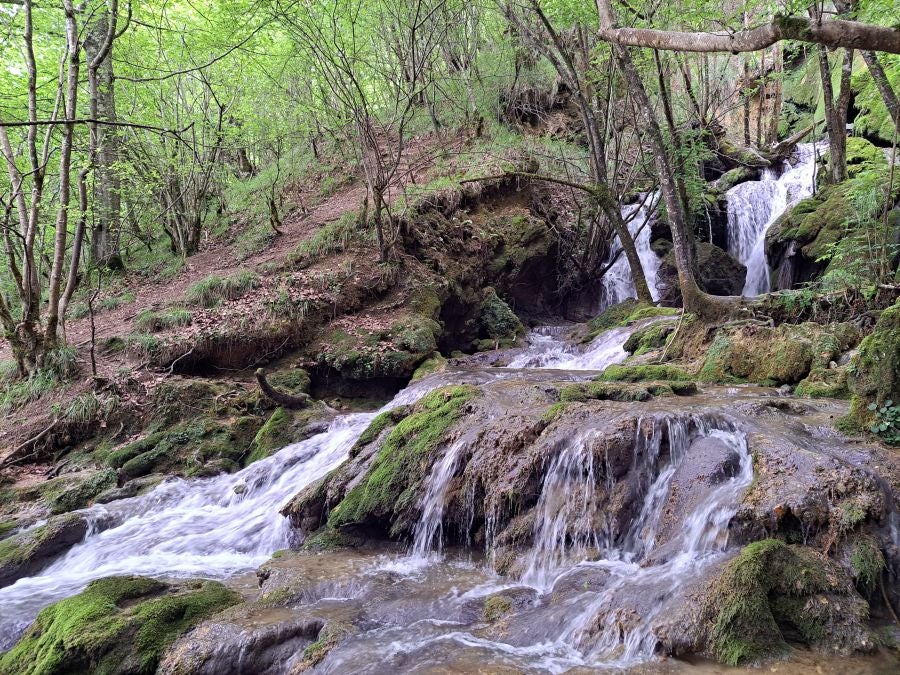 El suave manto de Belleku