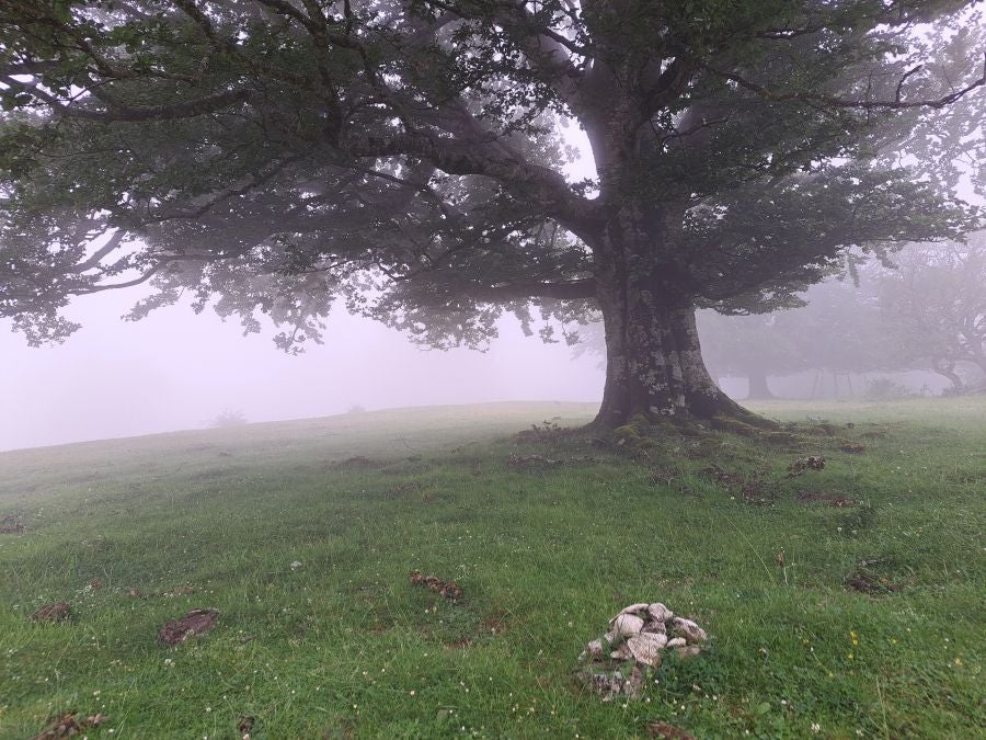 El suave manto de Belleku