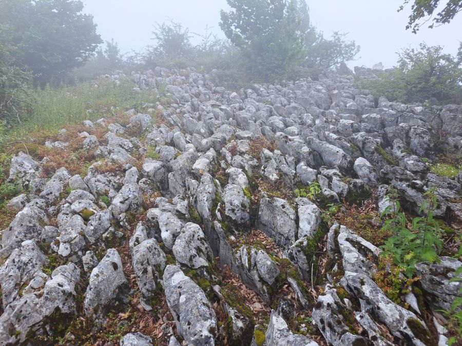 El suave manto de Belleku
