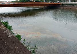 El Urumea contaminado