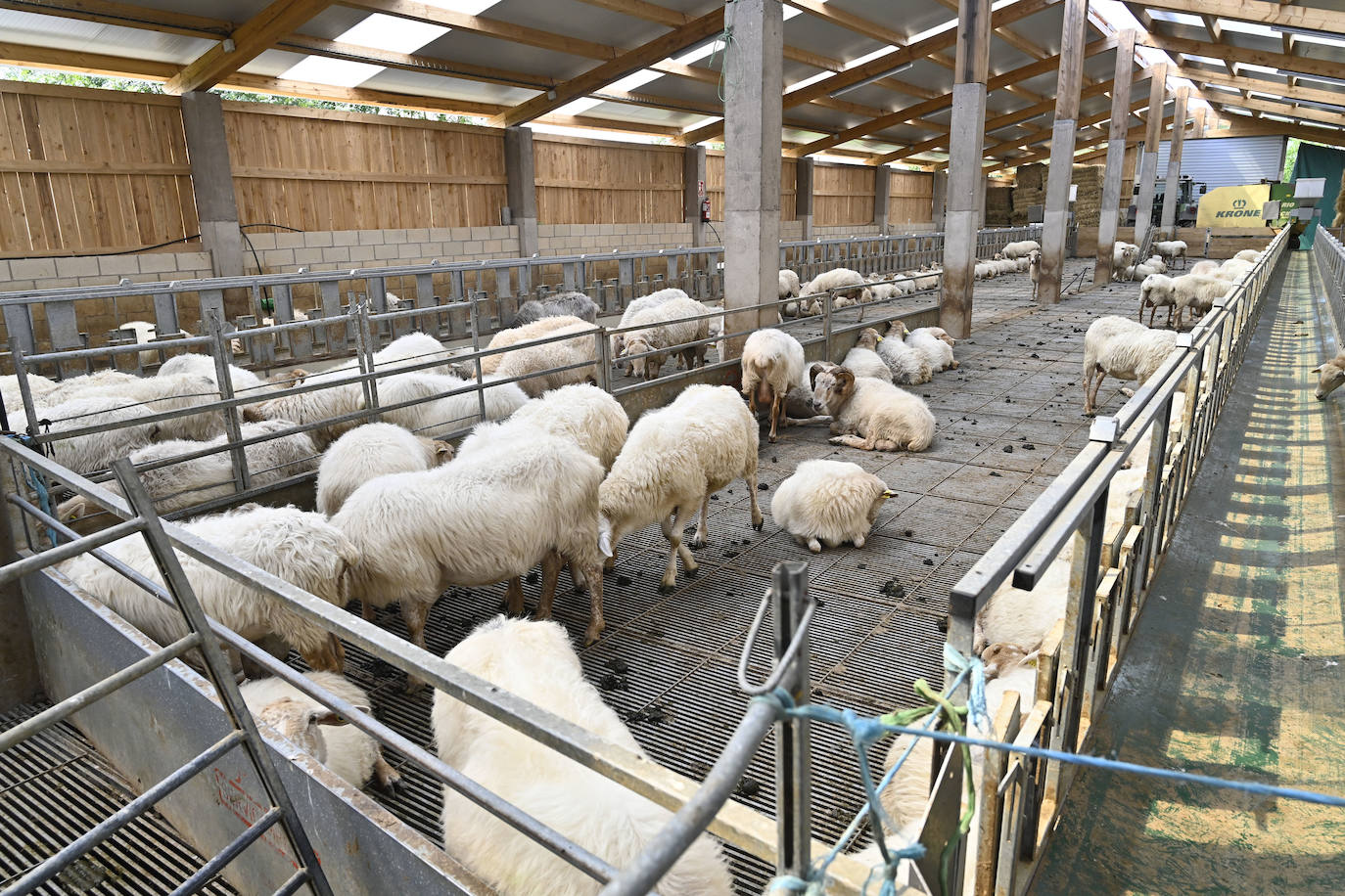 Visita guiada a Primo Etxeberria