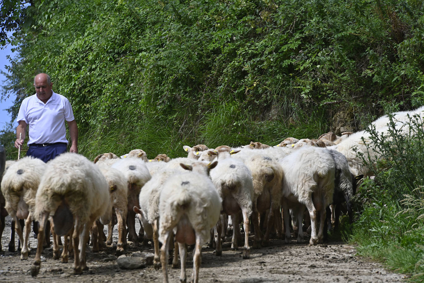 Visita guiada a Primo Etxeberria