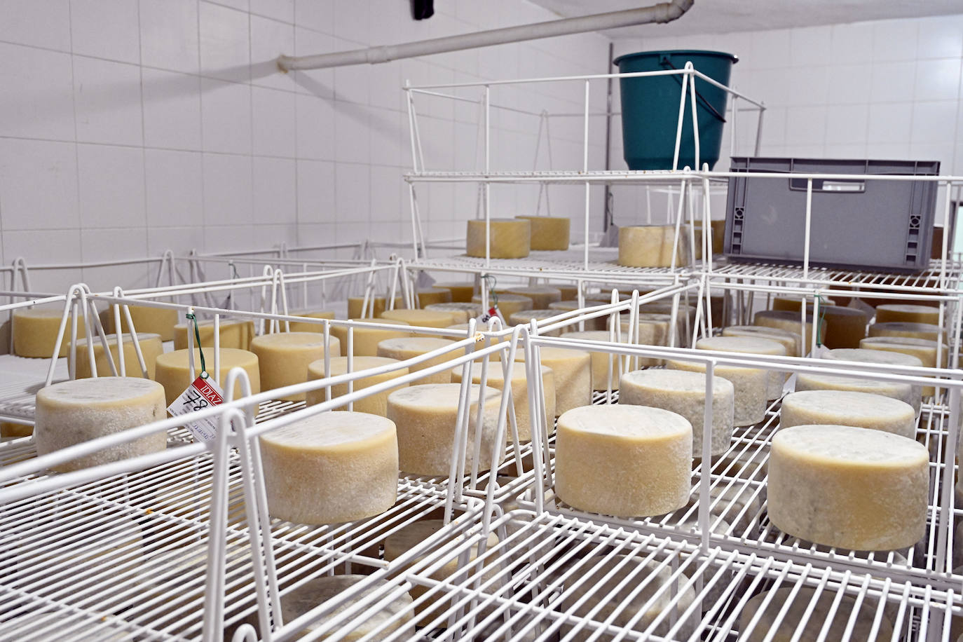 Visita guiada a Primo Etxeberria