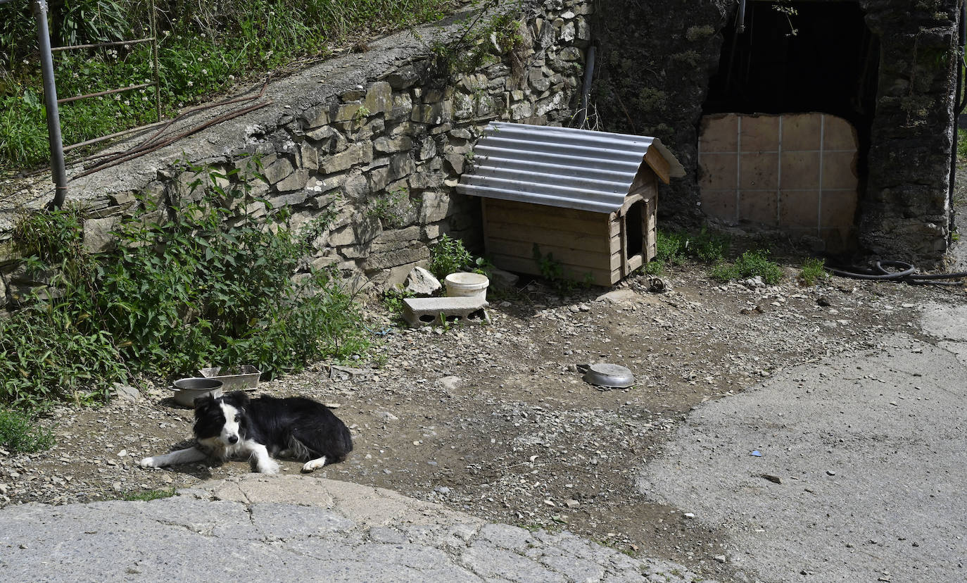 Visita guiada a Primo Etxeberria
