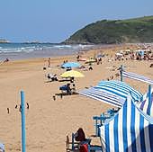 Socorristas en Zarautz: «Ha llegado un niño con un tentáculo incrustado»