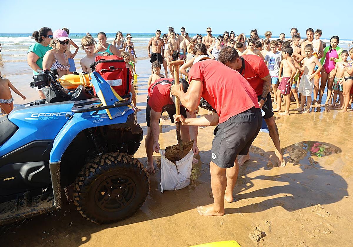 Socorristas de Zarautz retiran en la tarde de ayer varias medusas de la playa.