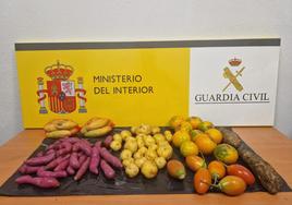 Varios kilos de vegetales confiscados en el aeropuerto de Hondarribia en este 2023.