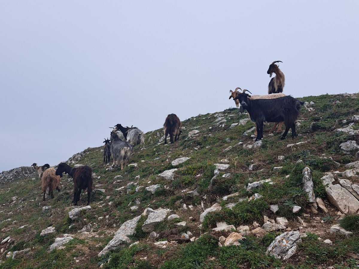 Exigente subida a Txurregi