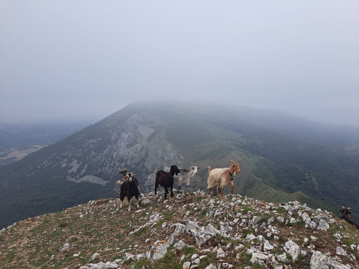 Exigente subida a Txurregi