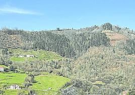 Nuevas empresas y traslados en Eibar se tratan de apoyar.