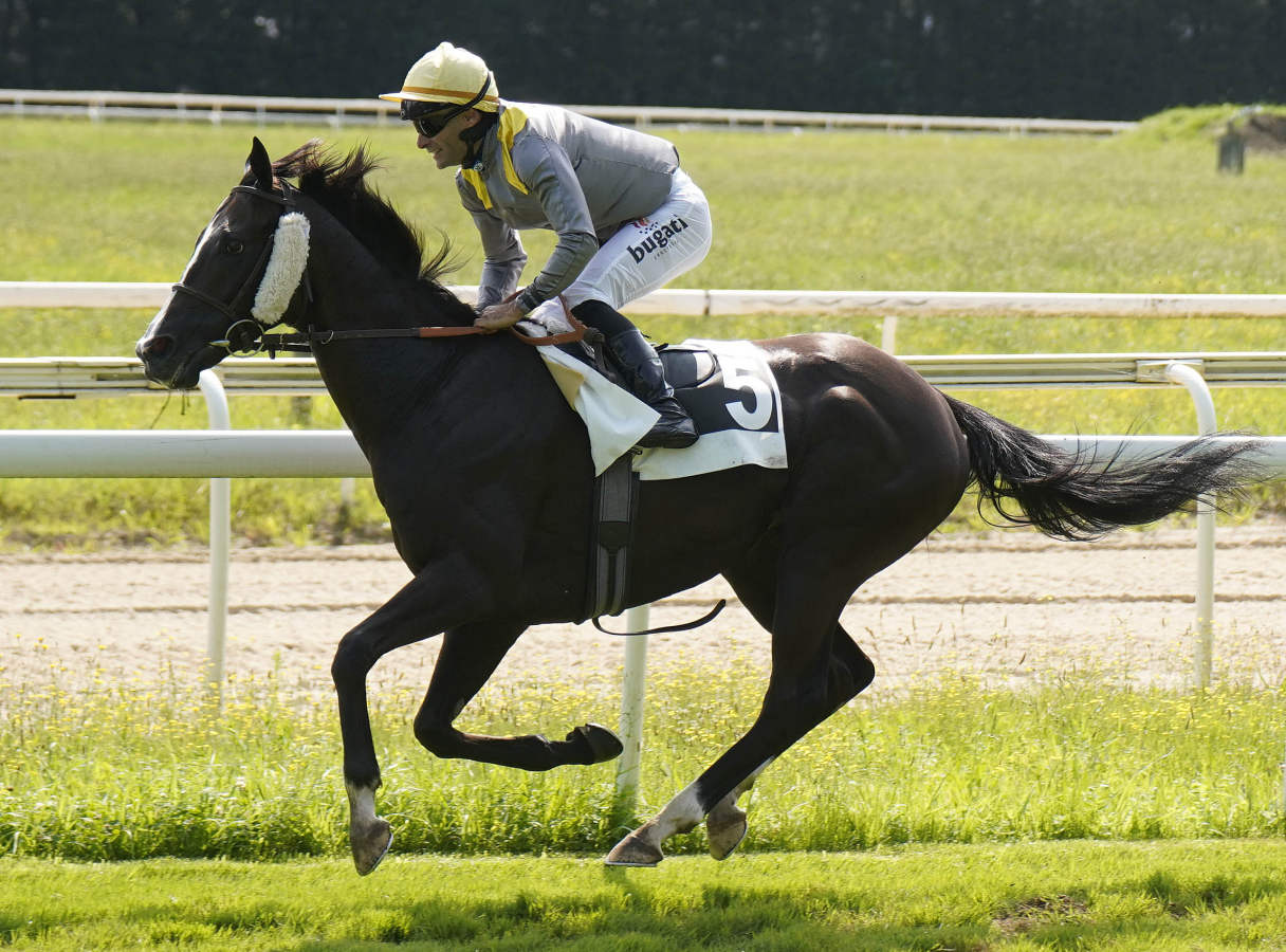 &#039;Philau&#039; y &#039;Salmarak&#039; visten de gala hasta en el aperitivo