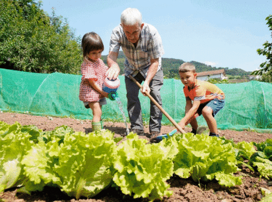 Hilario, Aratxa y Julio son algunos ejemplos de aitonas y amonas que comparten muchas horas del día con sus nietos.