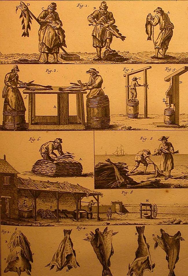Trinchado, salazón y secado de pescado en el siglo XVIII